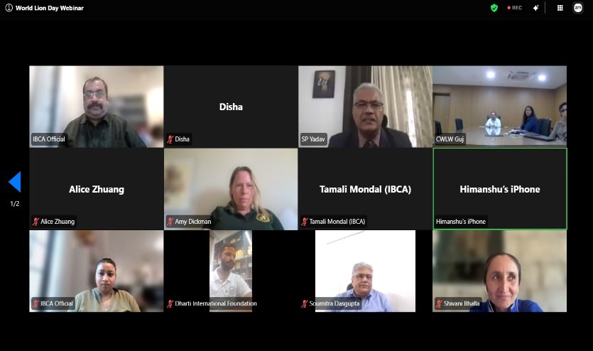 World Lion Day 2026 Webinar Image 2